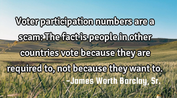 Voter participation numbers are a scam: The fact is people in other countries vote because they are