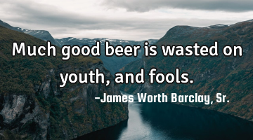 Much good beer is wasted on youth, and fools.