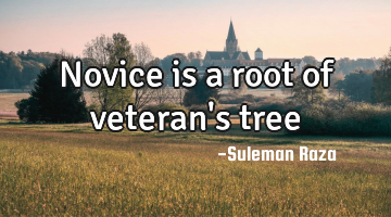 Novice is a root of veteran