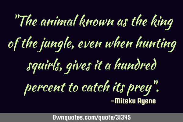 "The animal known as the king of the jungle, even when hunting squirls, gives it a hundred percent