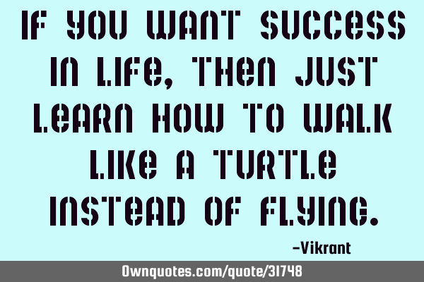 If you want success in life, then just learn how to walk like a turtle instead of