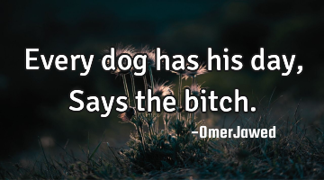 Every dog has his day, Says the bitch.