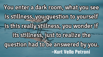 You enter a dark room, what you see is stillness, you question to yourself is this really stillness,