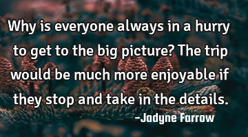 Why is everyone always in a hurry to get to the big picture? The trip would be much more enjoyable