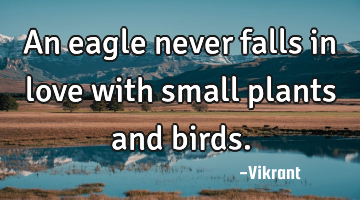 An eagle never falls in love with small plants and birds.
