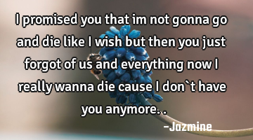 I promised you that im not gonna go and die like i wish but then you just forgot of us and