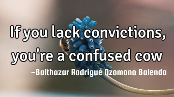 If you lack convictions, you