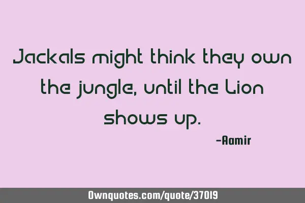 Jackals might think they own the jungle, until the Lion shows