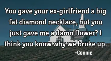You gave your ex-girlfriend a big fat diamond necklace, but you just gave me a damn flower? I think