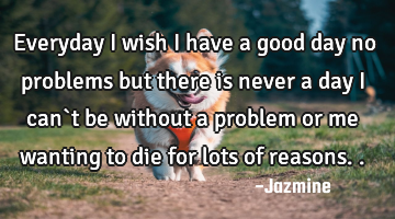 Everyday i wish i have a good day no problems but there is never a day i can`t be without a problem