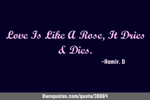 Love Is Like A Rose, It Dries & D