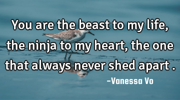 You are the beast to my life, the ninja to my heart, the one that always never shed apart .