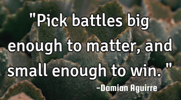 "Pick battles big enough to matter, and small enough to win."