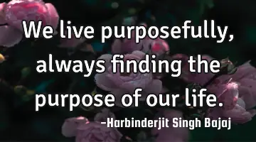 We live purposefully, always finding the purpose of our