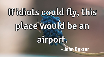 If idiots could fly, this place would be an airport.
