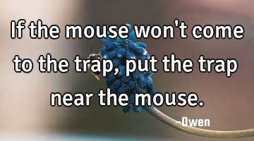 If the mouse won