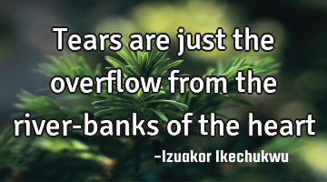 Tears are just the overflow from the river-banks of the heart