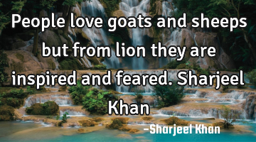 People love goats and sheeps but from lion they are inspired and feared. Sharjeel Khan