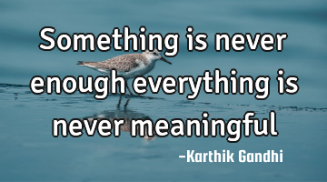 Something is never enough everything is never meaningful