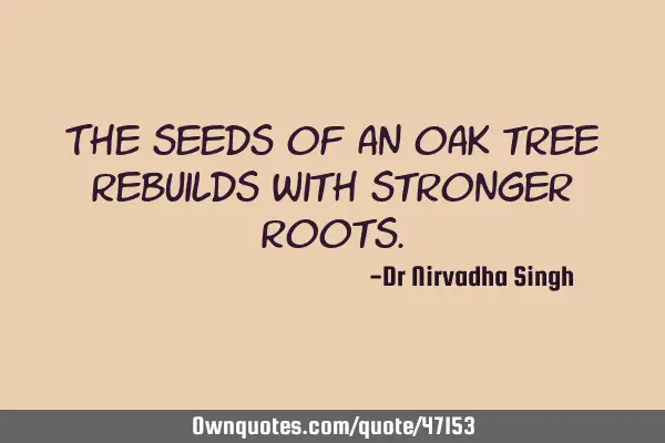 The seeds of an oak tree rebuilds with stronger