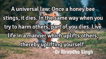 A universal law: Once a honey bee stings, it dies. In the same way when you try to harm others,