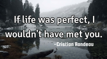 If life was perfect, I wouldn