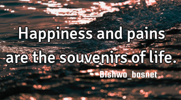 Happiness and pains are the souvenirs of life.