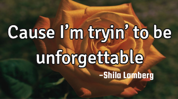 Cause I’m tryin’ to be unforgettable