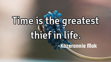 Time is the greatest thief in life.