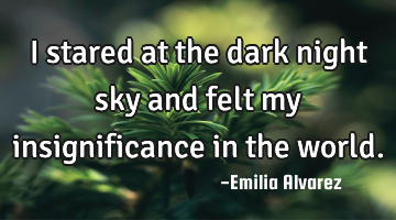 I stared at the dark night sky and felt my insignificance in the world.