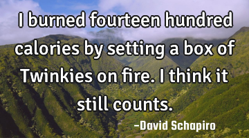 I burned fourteen hundred calories by setting a box of Twinkies on fire. I think it still counts.