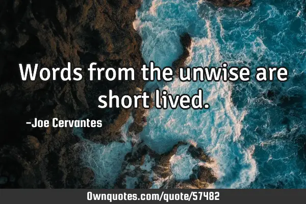 words-from-the-unwise-are-short-lived-ownquotes