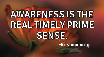 AWARENESS IS THE REAL TIMELY PRIME SENSE.