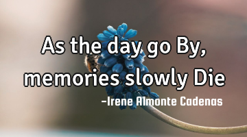 As the day go By, memories slowly Die