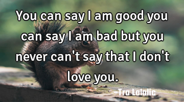 You can say i am good you can say i am bad but you never can