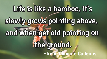 Life is like a bamboo, it
