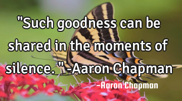 "Such goodness can be shared in the moments of silence." -Aaron Chapman
