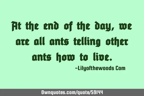 At the end of the day, we are all ants telling other ants how to