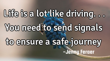 Life is a lot like driving...you need to send signals to ensure a safe journey