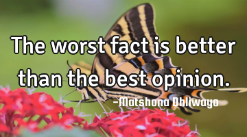 The worst fact is better than the best opinion.