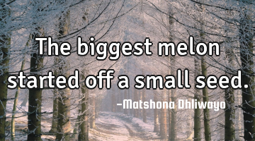 The biggest melon started off a small seed.