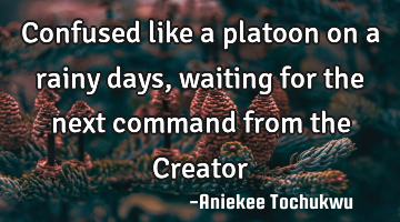 Confused like a platoon on a rainy days, waiting for the next command from the Creator