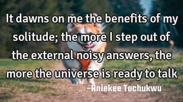 It dawns on me the benefits of my solitude; the more I step out of the external noisy answers, the