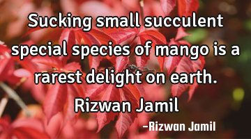 Sucking small succulent special species of mango is a rarest delight on earth. Rizwan Jamil