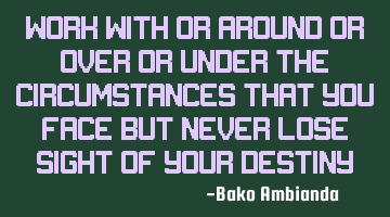 Work with or around or over or under the circumstances that you face but never lose sight of your