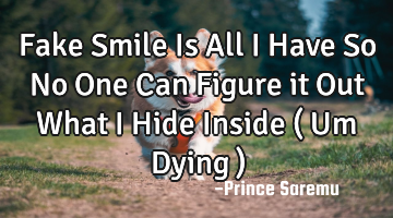 Fake Smile Is All I Have So No One Can Figure it Out What I Hide Inside ( Um Dying )