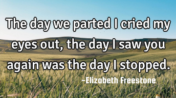 The day we parted I cried my eyes out, the day I saw you again was the day I stopped.