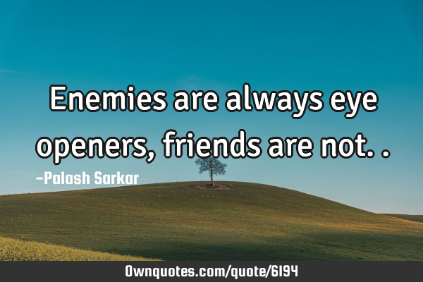 Enemies are always eye openers, friends are