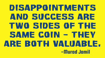 Disappointments and Success are two sides of the same coin - They are both valuable.