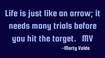Life is just like an arrow; it needs many trials before you hit the target. ~MV